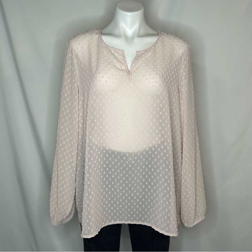 Ruff Hewn ‘GREY’ Women’s Blush Pink Sheer Swiss Dot Top, XL
